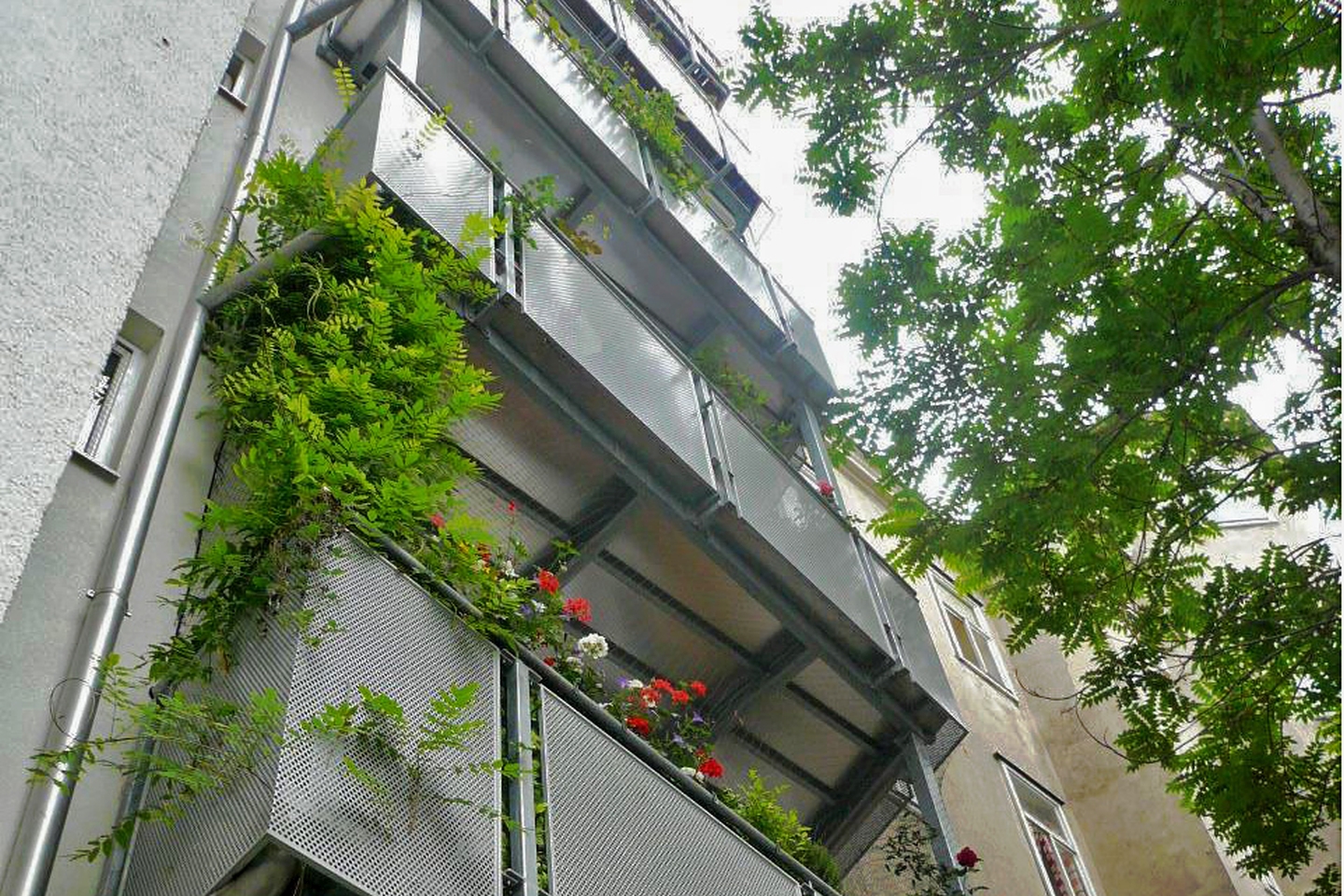 Hofseitige Balkonzubauten an einem Gründerzeithaus